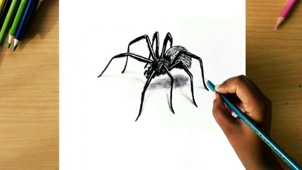 Паук 3д ручкой