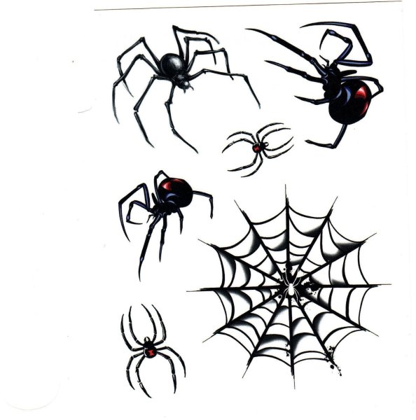 Эскиз тату паук черная вдова