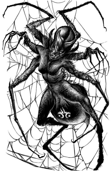 Арахна черная вдова