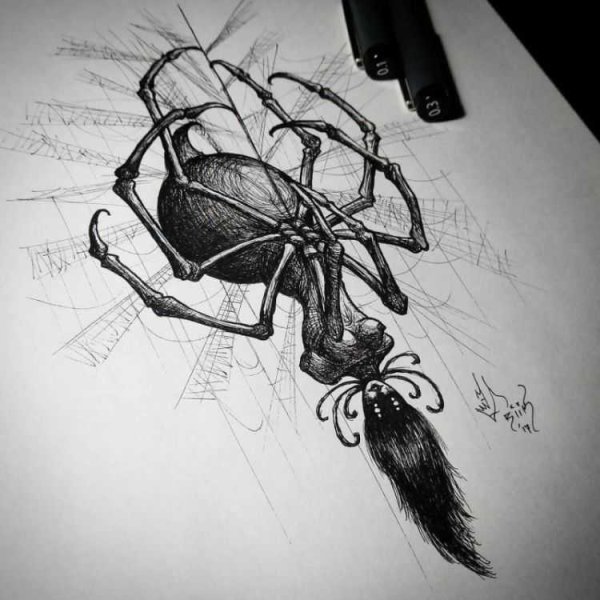 Паук эскиз