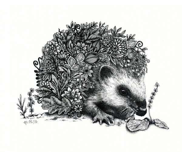 Ежик Графика