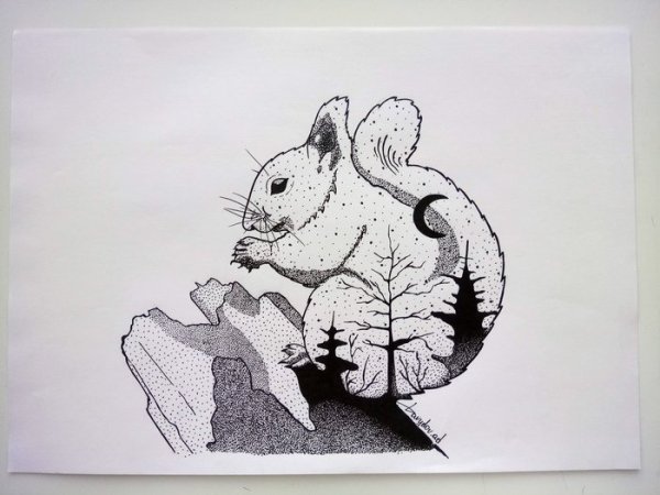 Белка черной гелевой ручкой