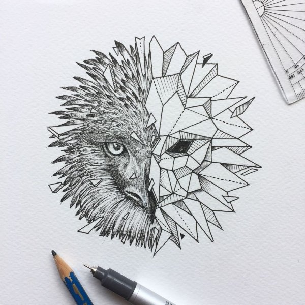 Ежик эскиз