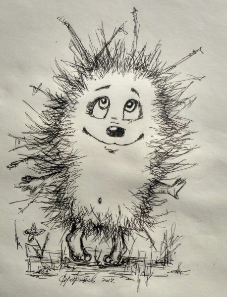 Ежик рисунок