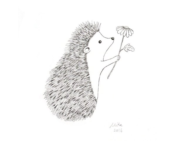 Рисунок ежа