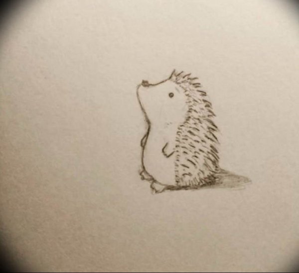 Тату Ёжик эскиз