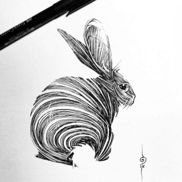 Животные в графике