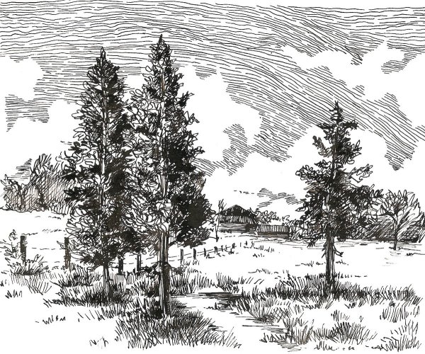 Лес черной ручкой