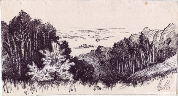 Графический пейзаж гелевой ручкой