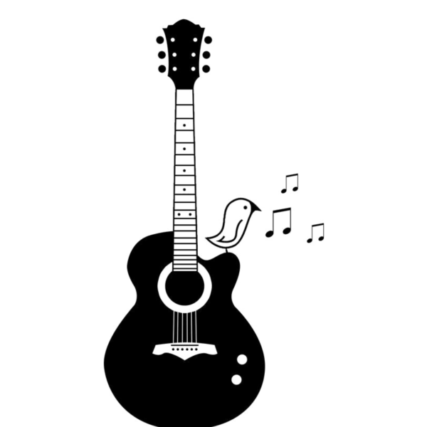 Гитара контур