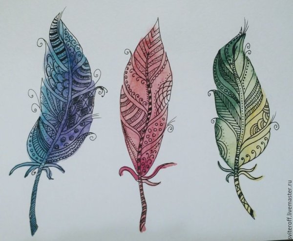 Перья Зентангл акварель