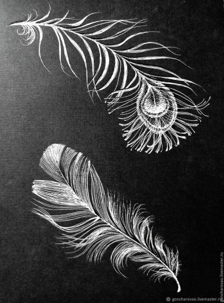 Перышко Графика