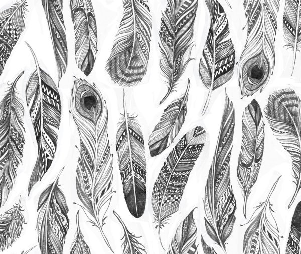 Перо Графика