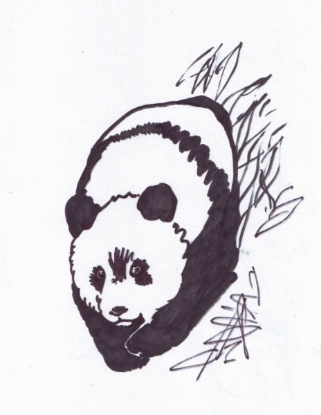 Рисунки маркером черным