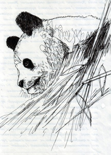 Наброски животных гелевой ручкой