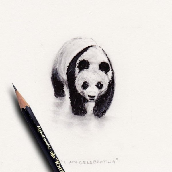 Панда гелевой ручкой