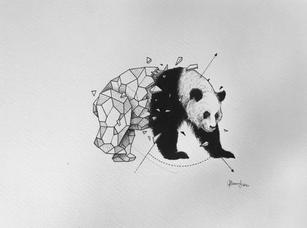 Тату Панда эскизы для мужчин