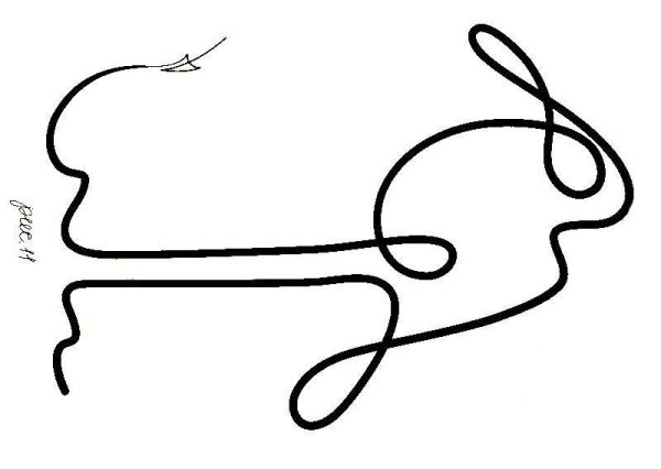 Рисование без отрыва руки для дошкольников