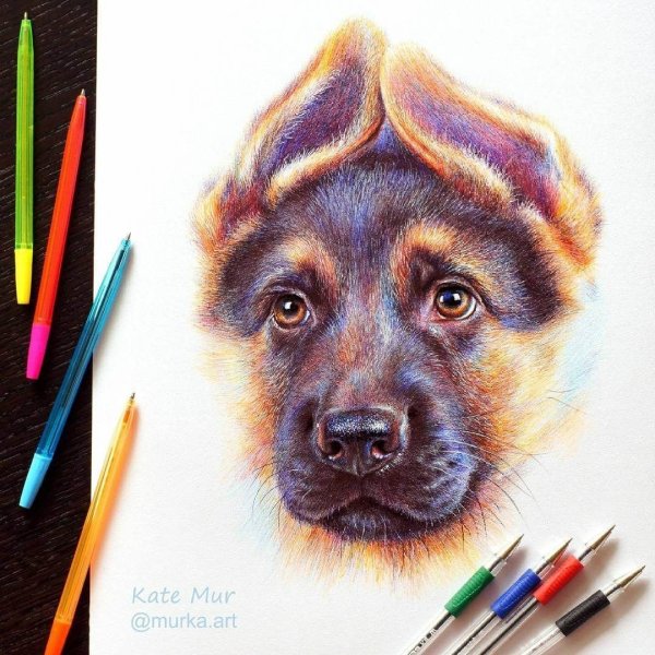 Рисунки цветными ручками