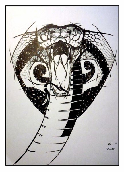 Змея Графика