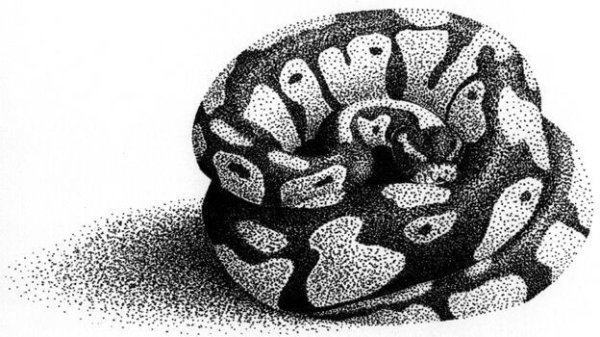 Змея пуантилизм