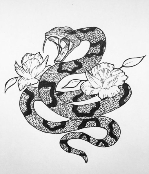Змея эскиз
