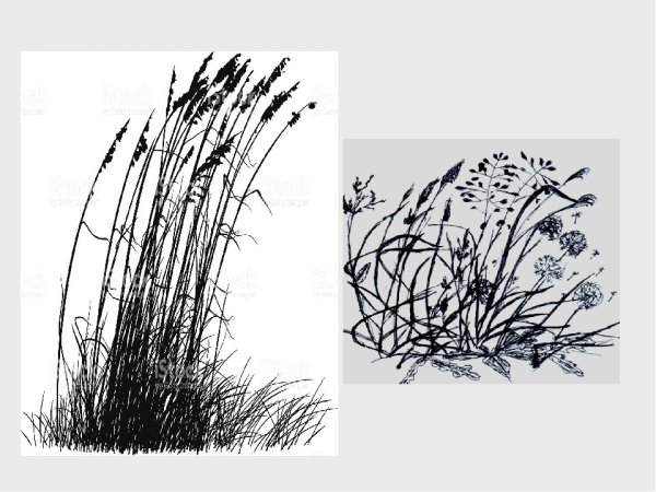 Рисунки чёрной ручкой цветы