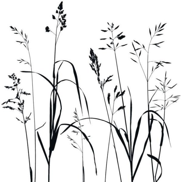 Графические материалы для рисования