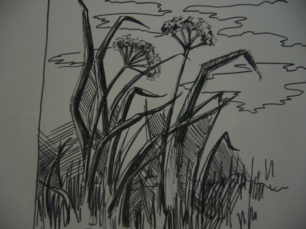 Лужайка карандашом