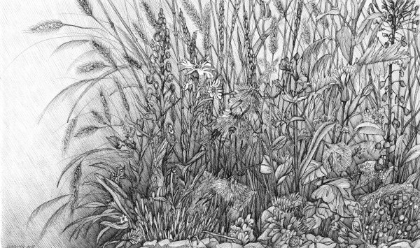 Веточки черной ручкой