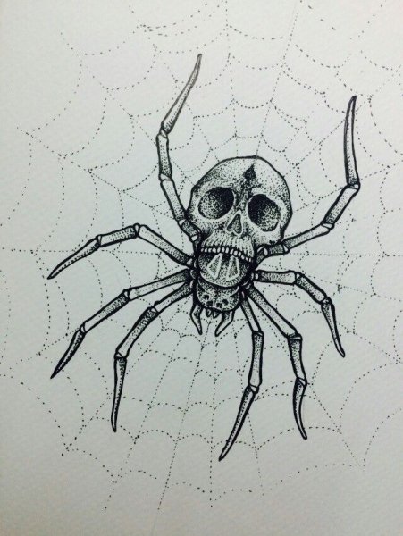 Паук эскиз