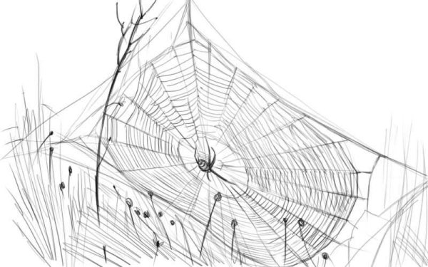 Паутинка карандашом