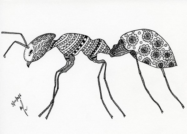 Стилизация насекомых в графике