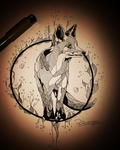 Лиса черной ручкой