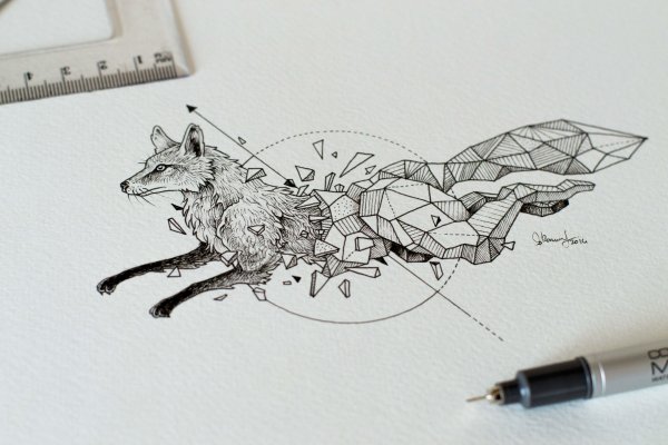 Керби Розанес лиса