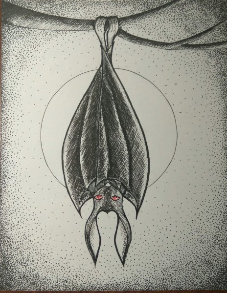 Летучая мышь гелевой ручкой