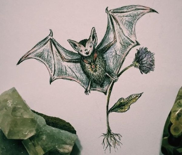 Композиция с летучей мышью