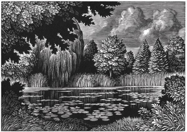 Пейзаж в графике гелевой ручкой