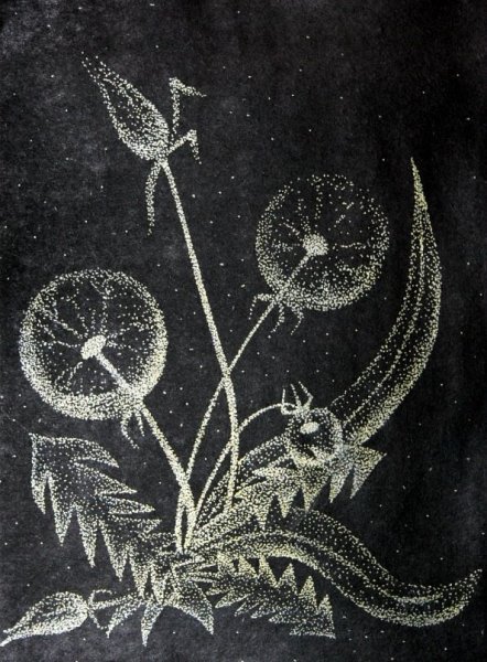 Тарабильдене граттаж