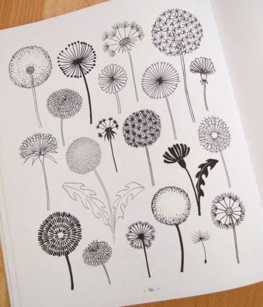 Стилизованные одуванчики