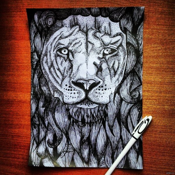 Рисунки ручкой гелевой Лев