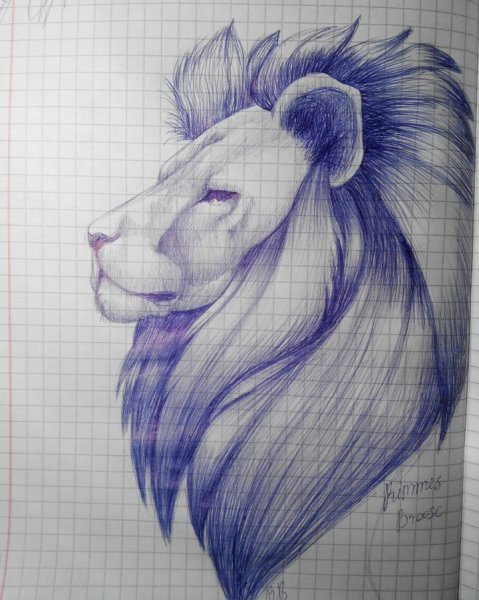 Нарисованный ручкой Лев