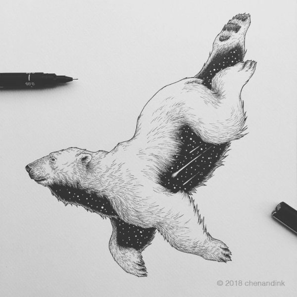 Белый медведь эскиз