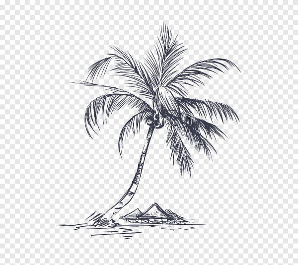 Пальма Графика