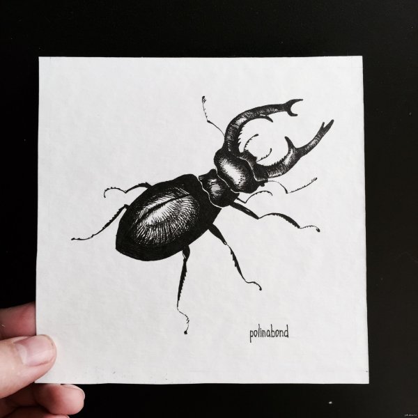 Насекомые гелевой ручкой