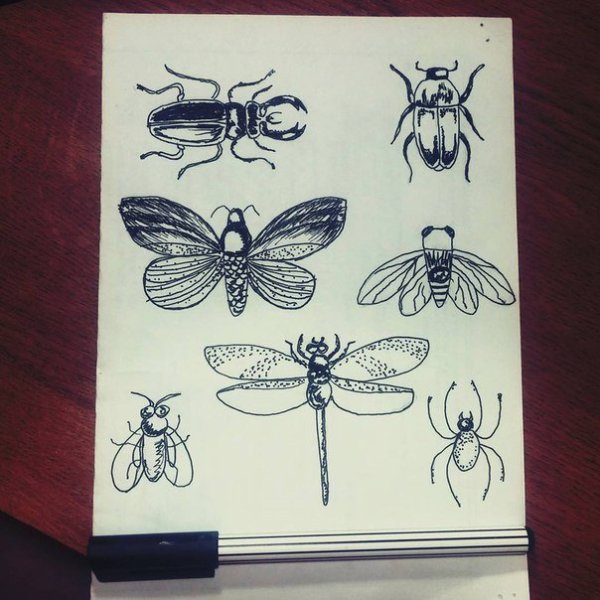 Насекомые черной ручкой