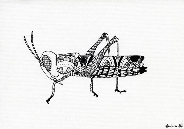Стилизация кузнечика