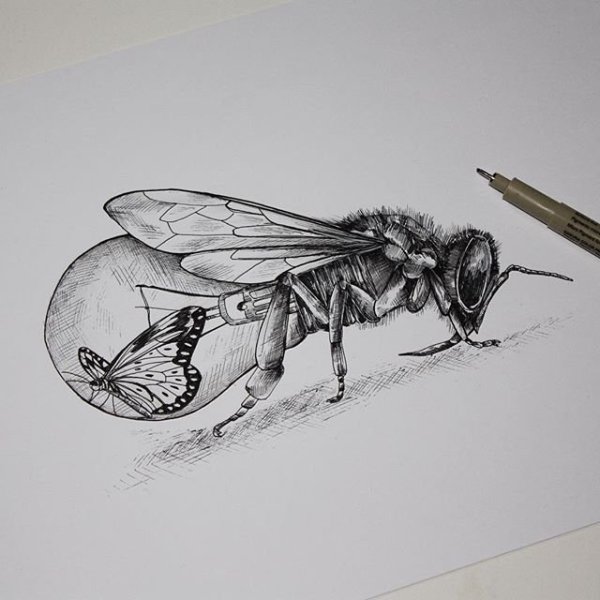 Насекомые тушью