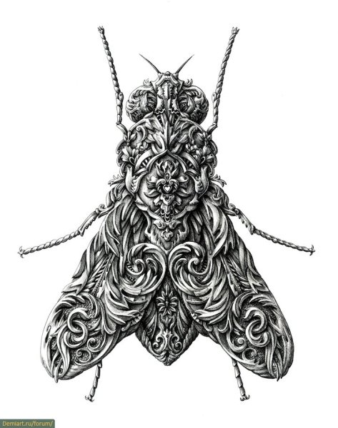 Алекс Конахин рисунки