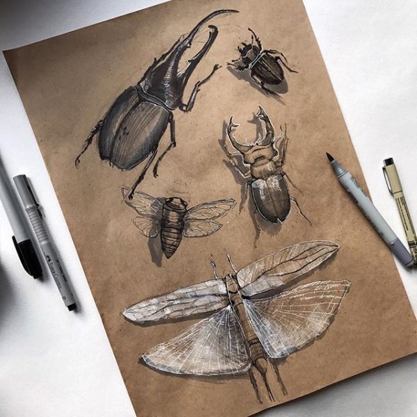 Рисунки на крафтовой бумаге